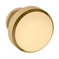 Lifetime Polished Brass