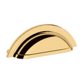 Lifetime Polished Brass