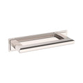 Lifetime Polished Nickel